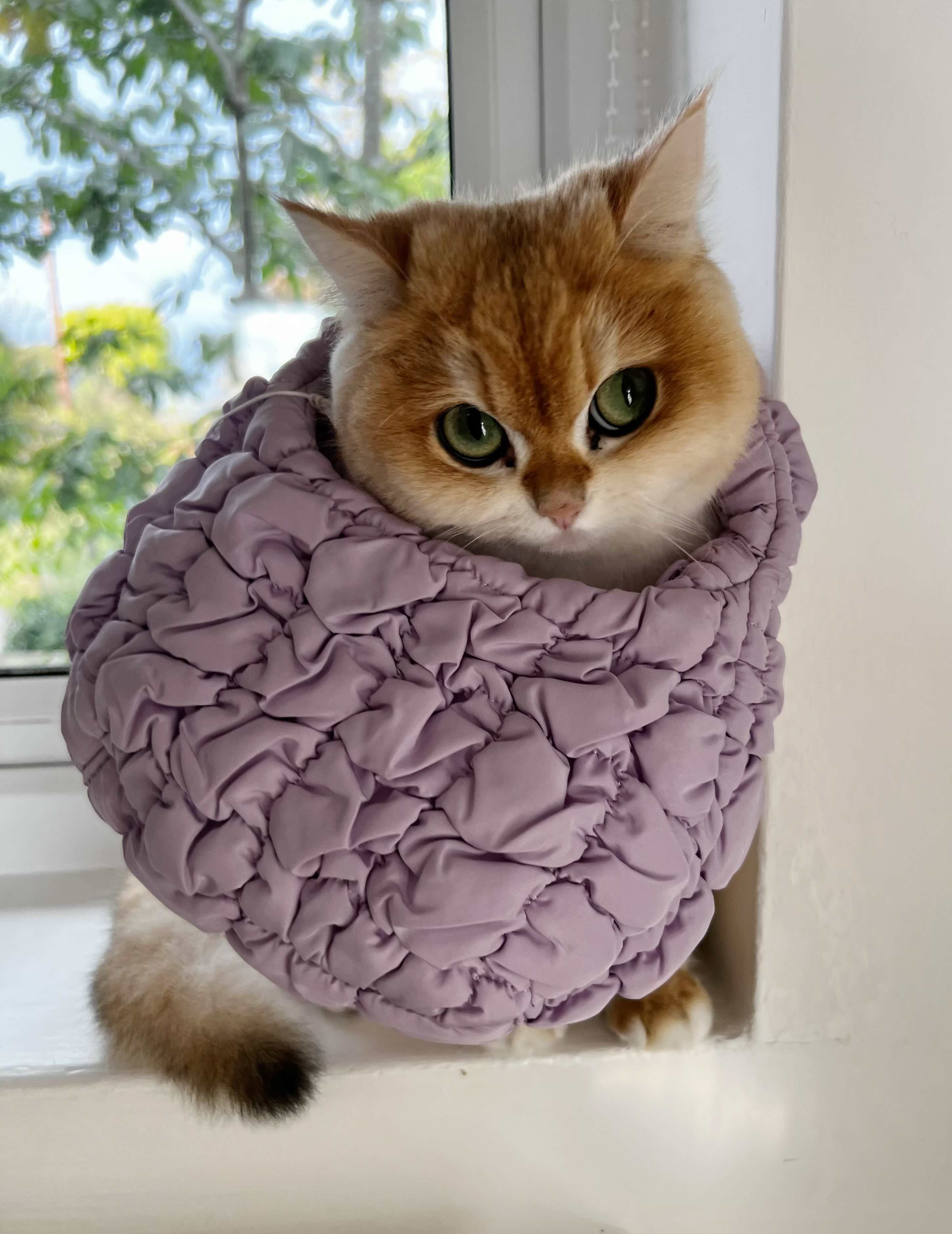 Meatball photo 11